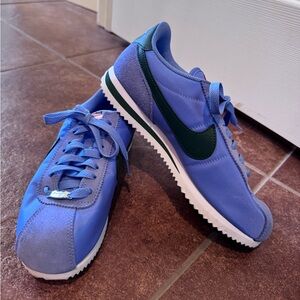 Nikes Blue & Green Womens Size 8